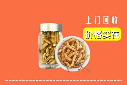 收购资讯:长春朝阳区回收散虫草