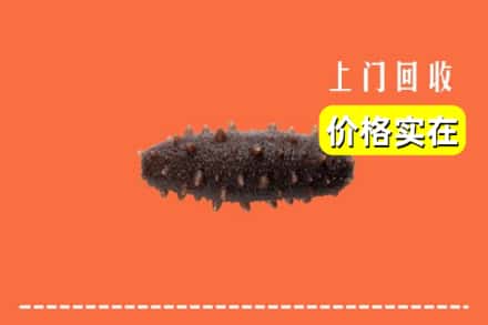 收购资讯:长春朝阳区回收海参